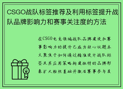 CSGO战队标签推荐及利用标签提升战队品牌影响力和赛事关注度的方法